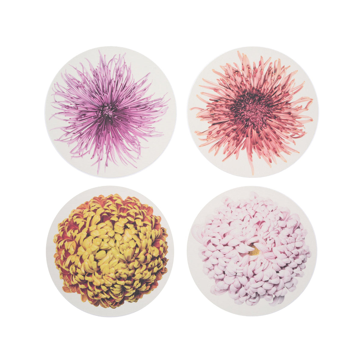 Mums Placemats - Multi