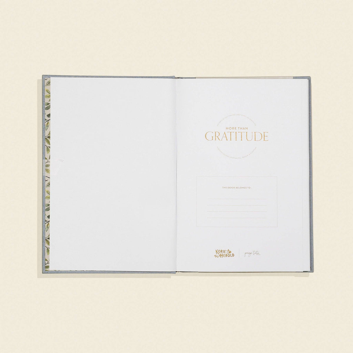 More Than Gratitude: A Christian Guided Journal