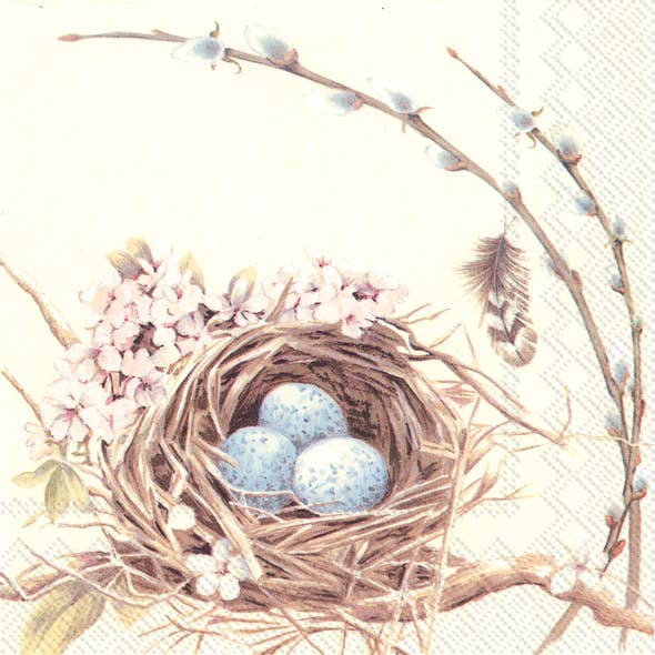 Paper Cocktail Napkins 20 ct Birds Nest With Eggs Easter