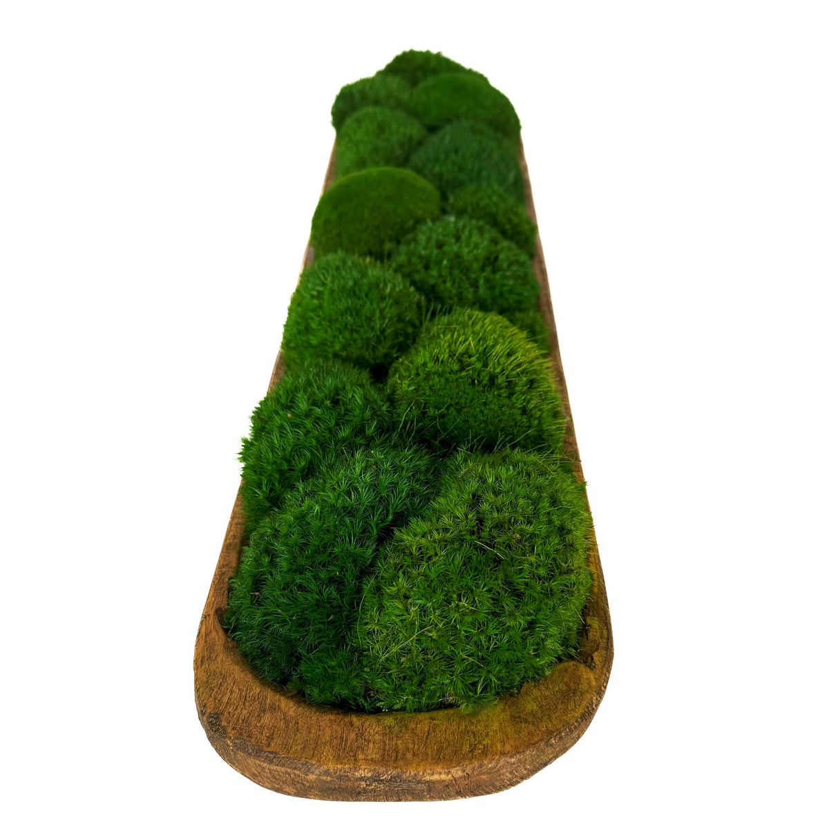 Preserved Mood Moss Large Wood Carved Bowl