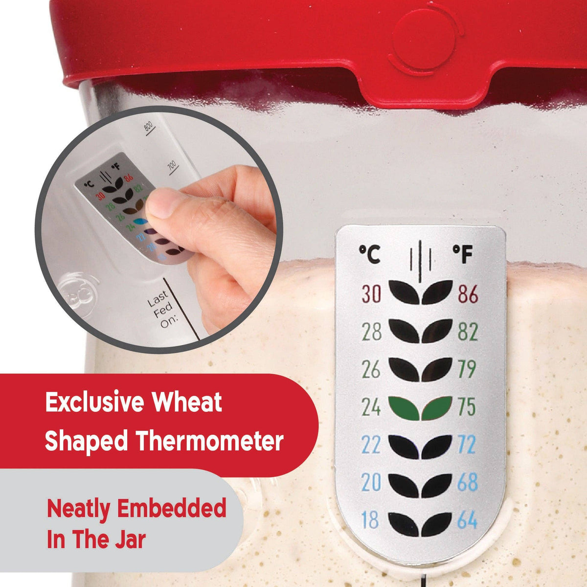 KneadAce® PRO 34 Oz Sourdough Starter Jar