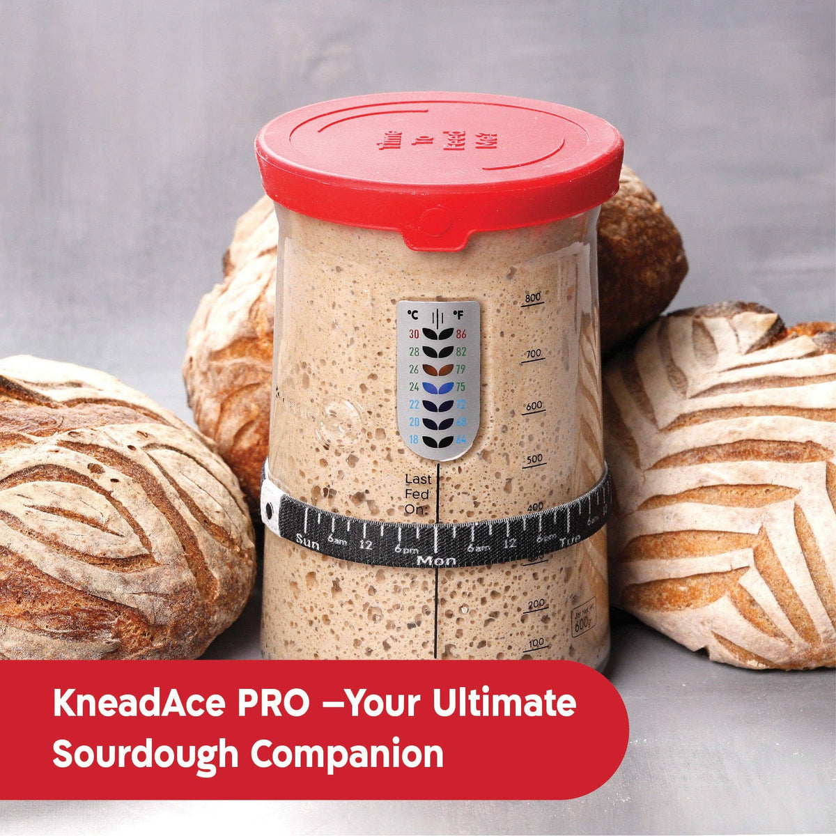 KneadAce® PRO 34 Oz Sourdough Starter Jar
