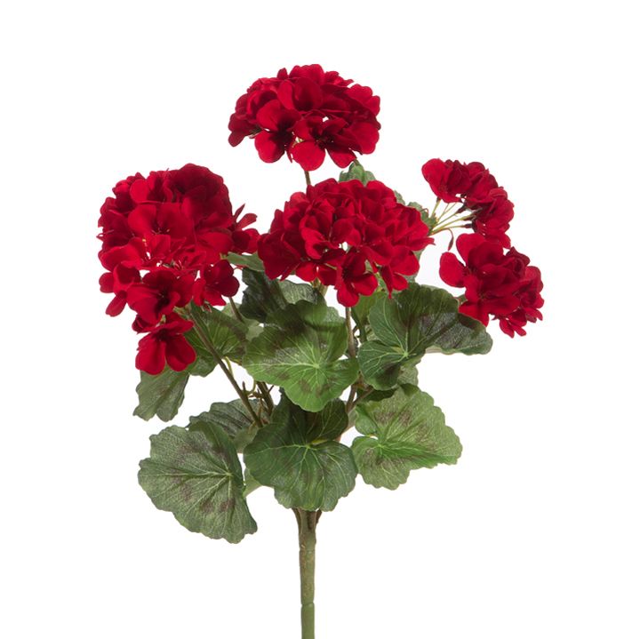 18" Red Geranium Bush