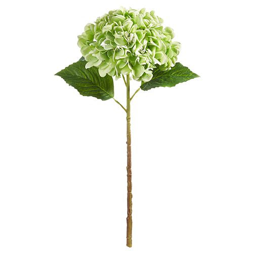 Real Touch Hydrangea Green 20"