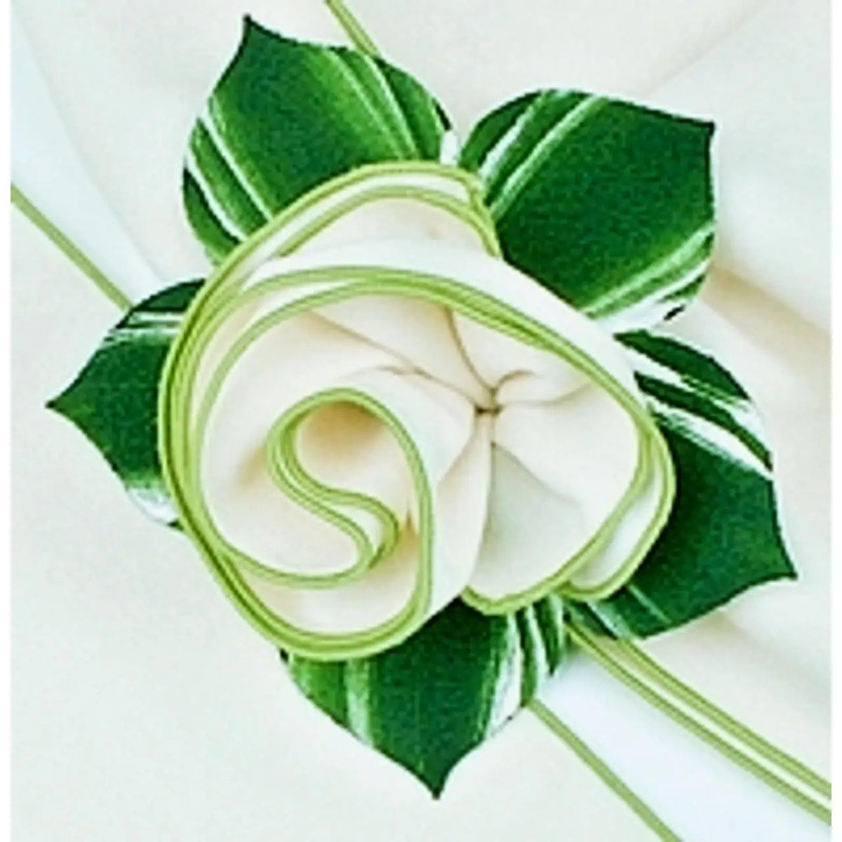White with Honeydew Green Trim Napkin