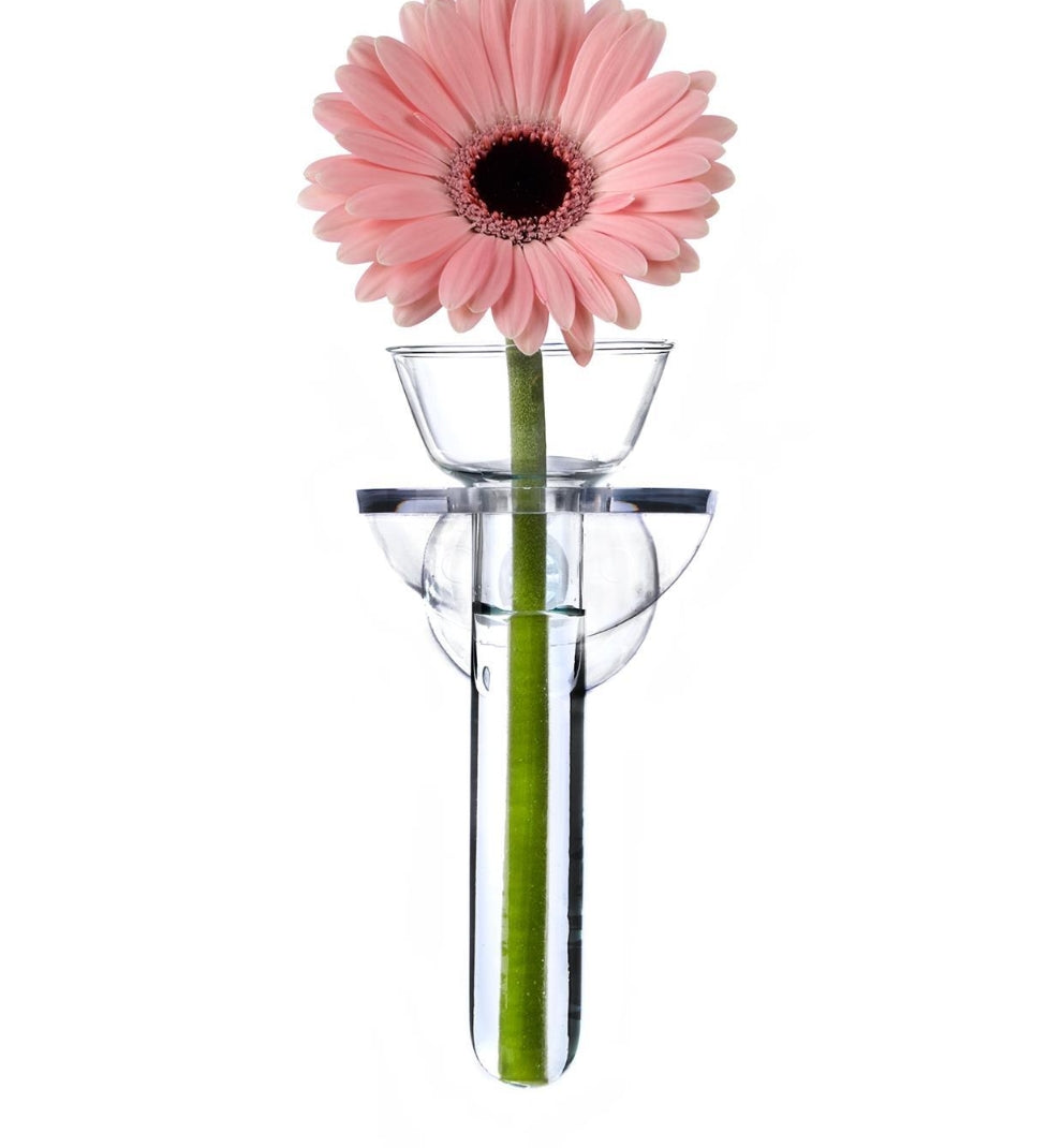 Wall Flower Vase in Gift Box