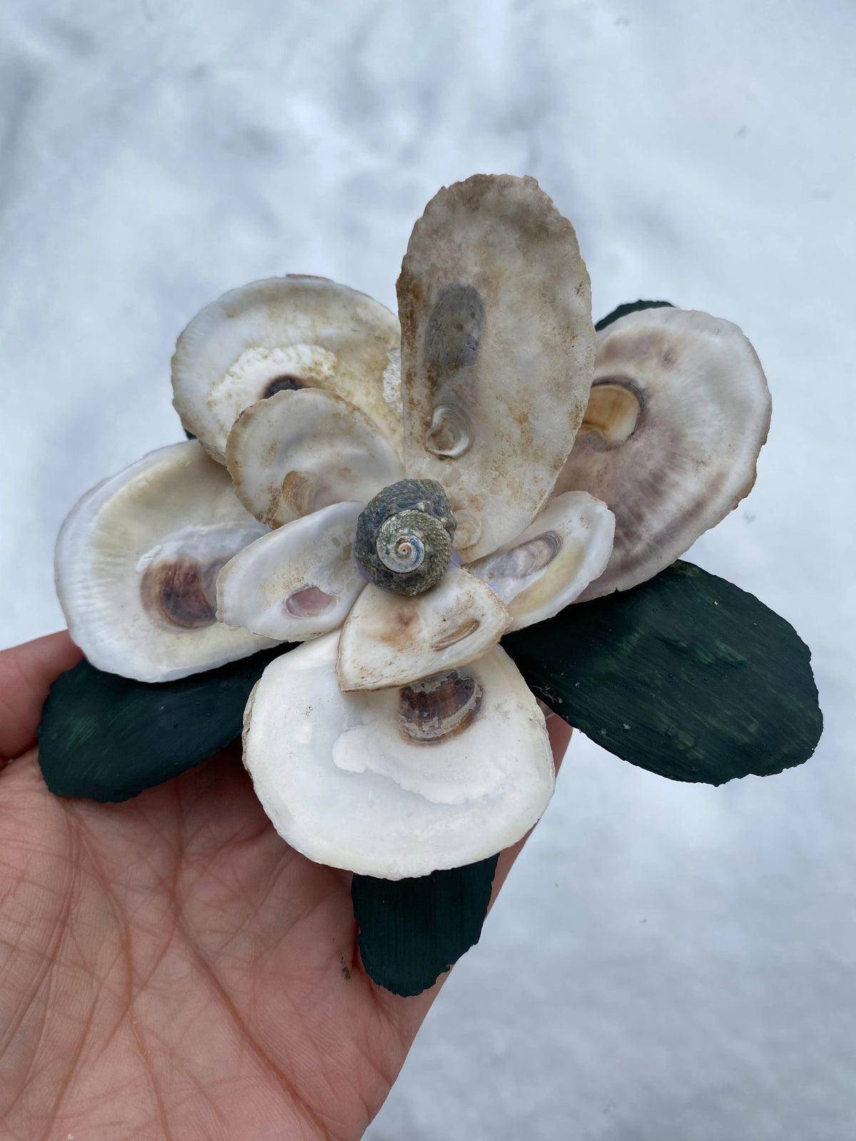Magnolia Oyster Flower