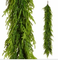 Norfolk Pine Garla Green