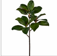 24" MAGNOLIA LEAF