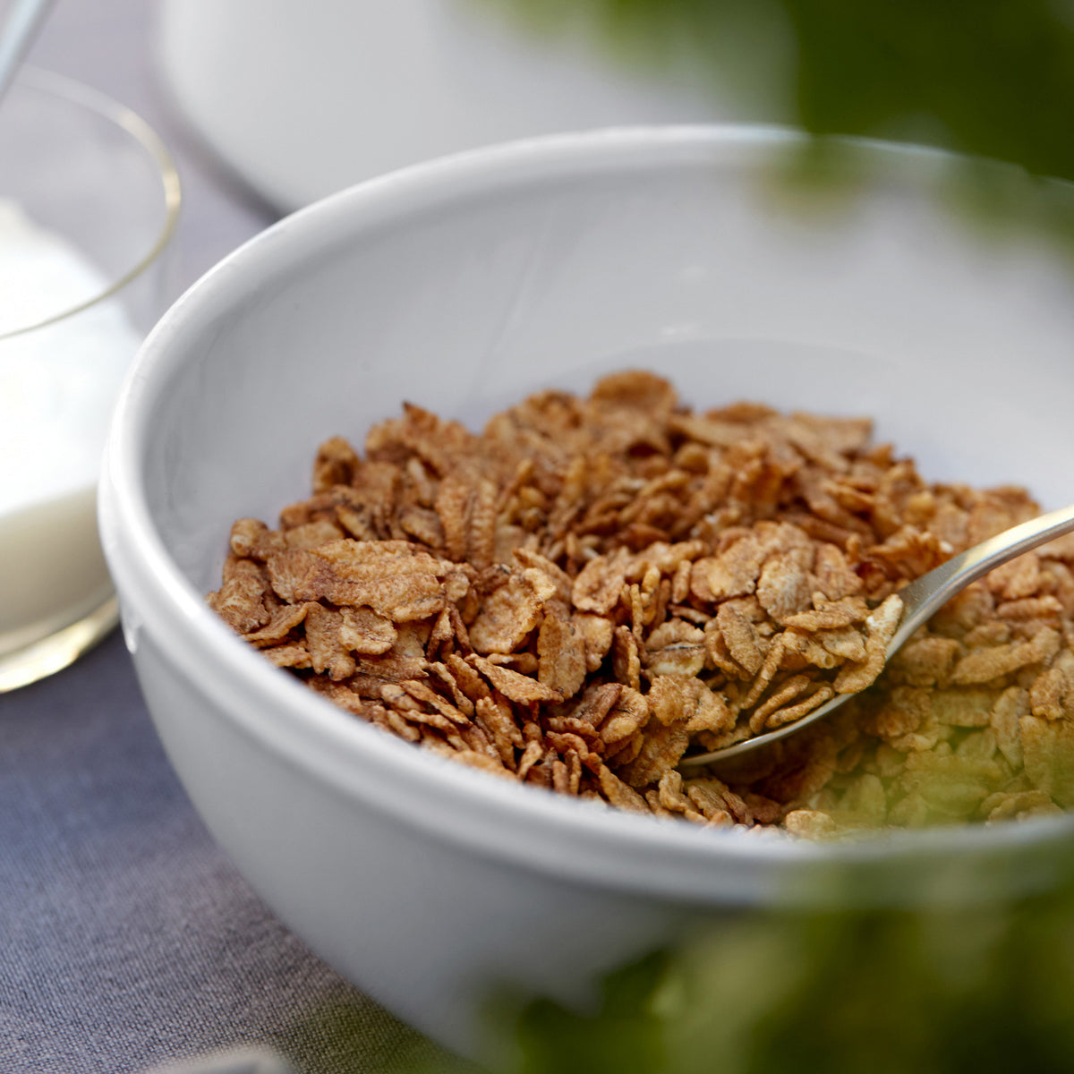 Soup / Cereal Bowl Friso