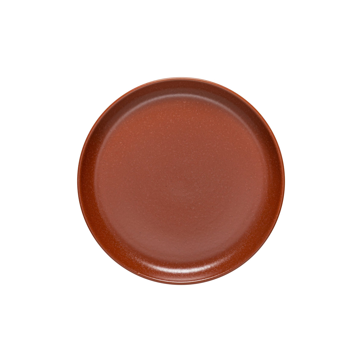 Small Dinner Plate Pacifica, Casafina by COSTA NOVA