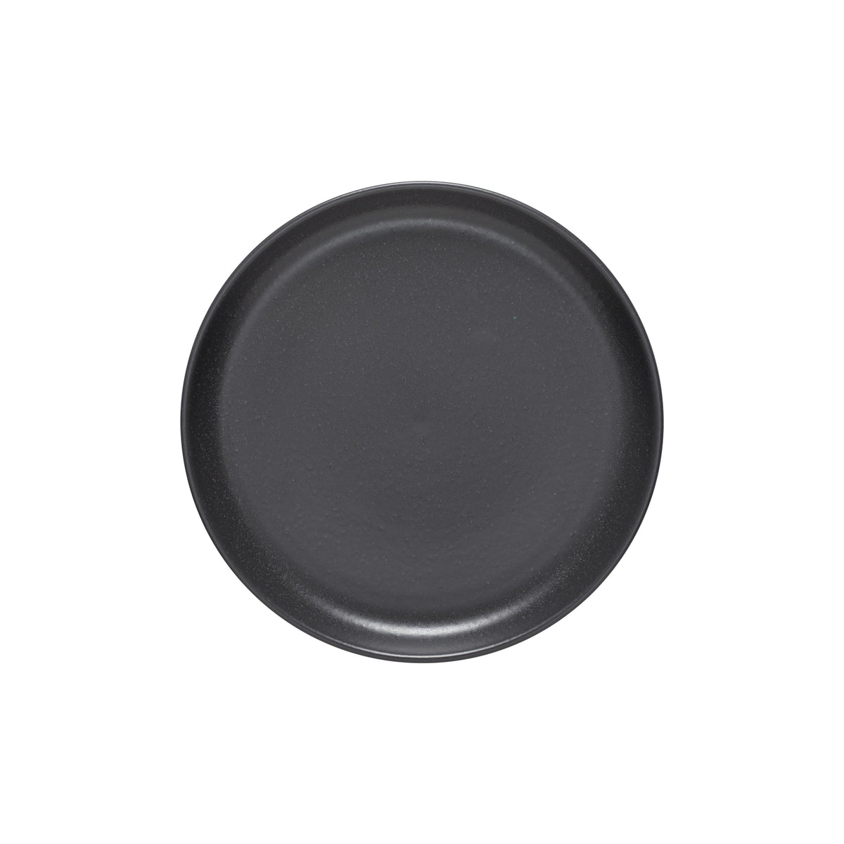 Small Dinner Plate Pacifica, Casafina by COSTA NOVA