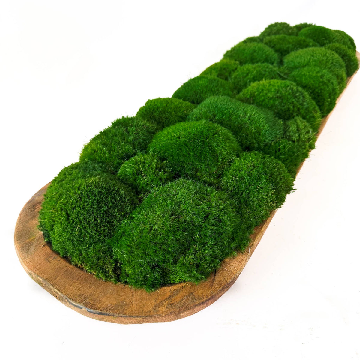 Preserved Mood Moss Large Wood Carved Bowl