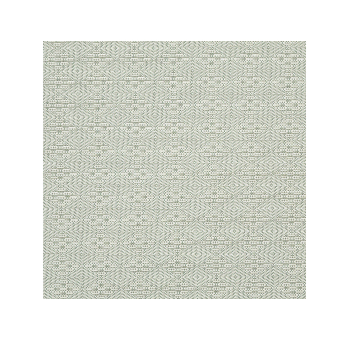 Boxwood Placemats - Abalone