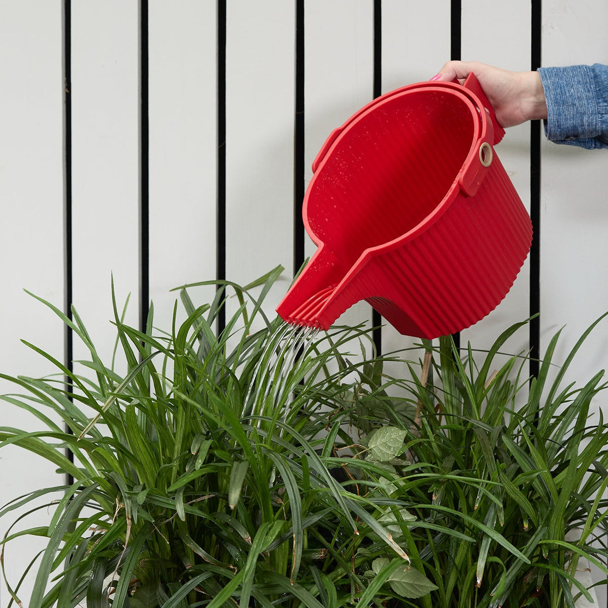 Hachiman Watering Cans - Red
