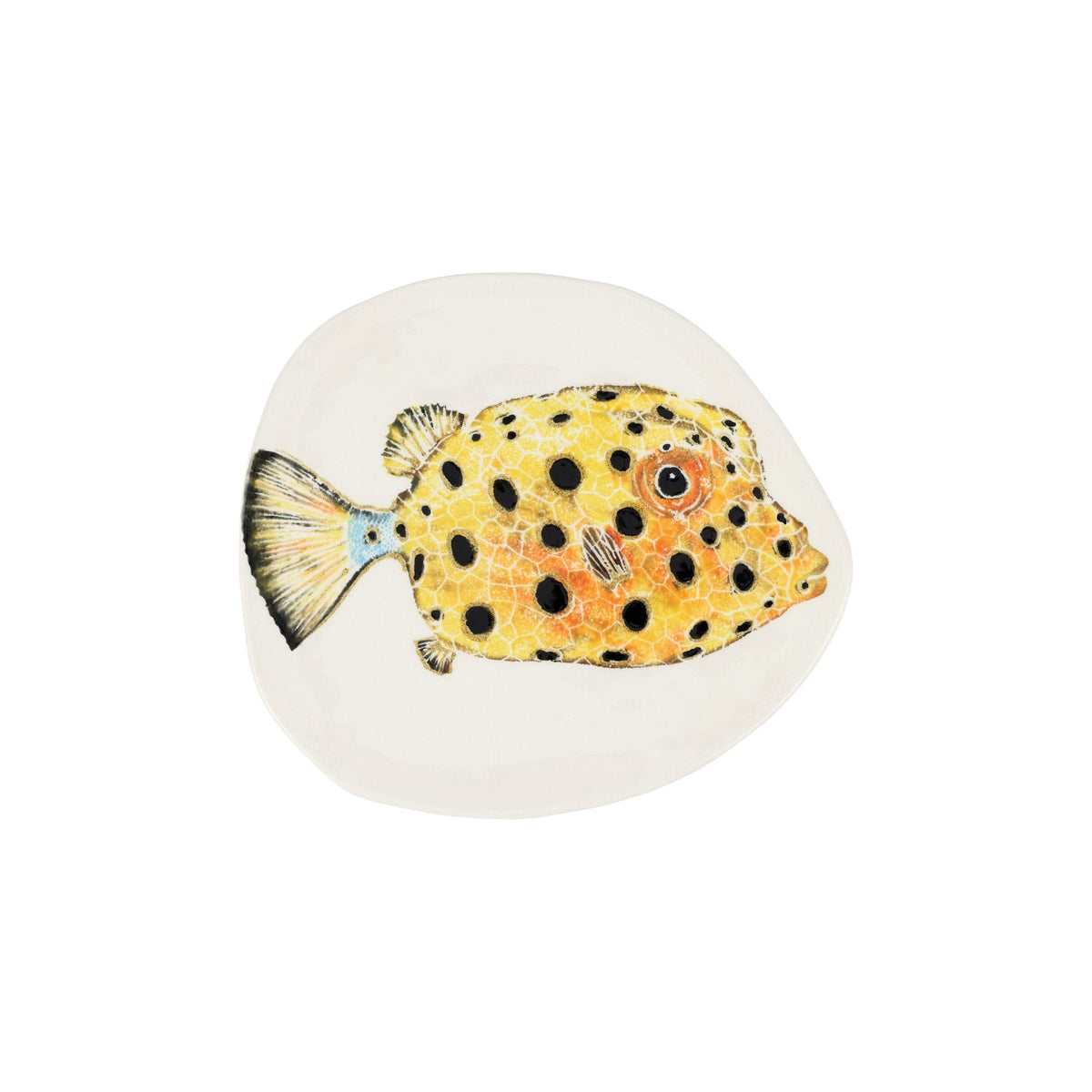 Reef Box Fish Small Round Platter