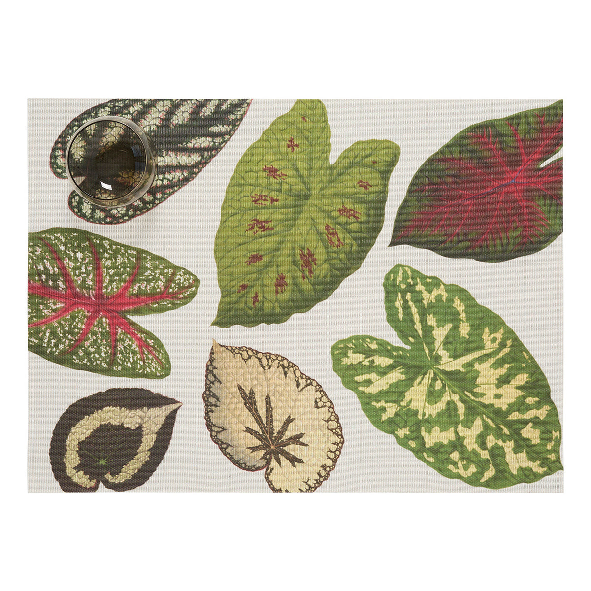 Scattered Leaves Placemats - Green