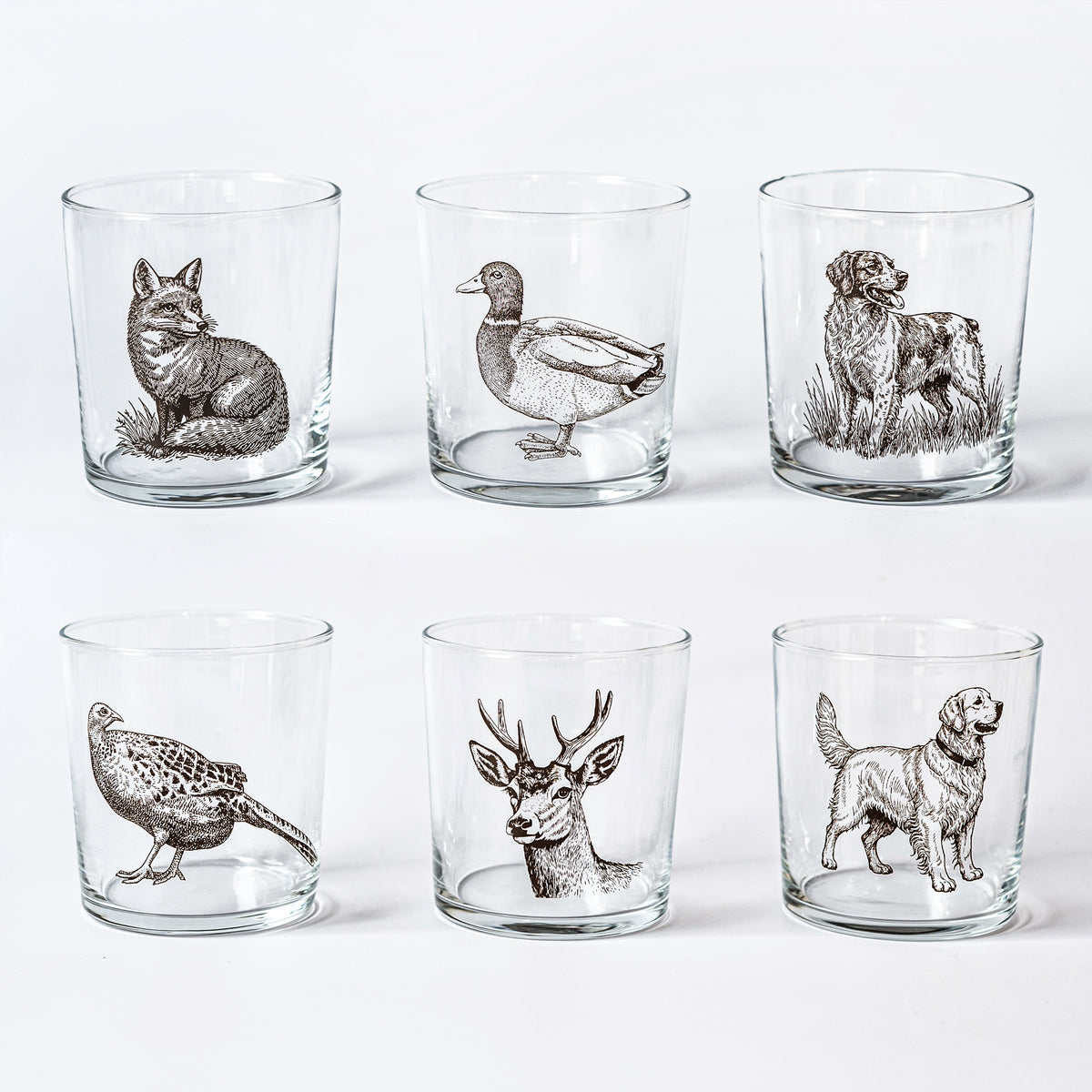 Wildlife Assorted Tumblers - Set of 6