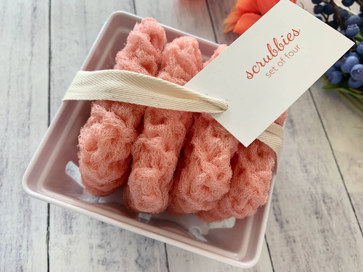 Scrubbies in a Berry Basket- New Lower Pricing