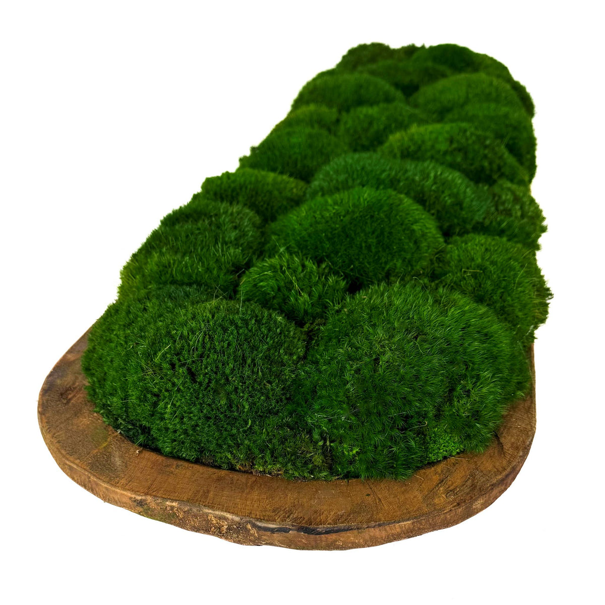 Preserved Mood Moss Large Wood Carved Bowl