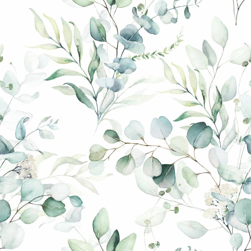 BEV-EUCALYPTUS BY AMBIENTE