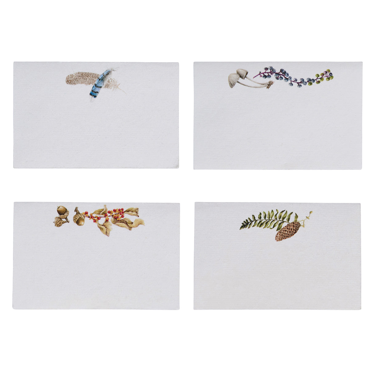 Forest Walk Place Card Assorted Set/12 - Multi