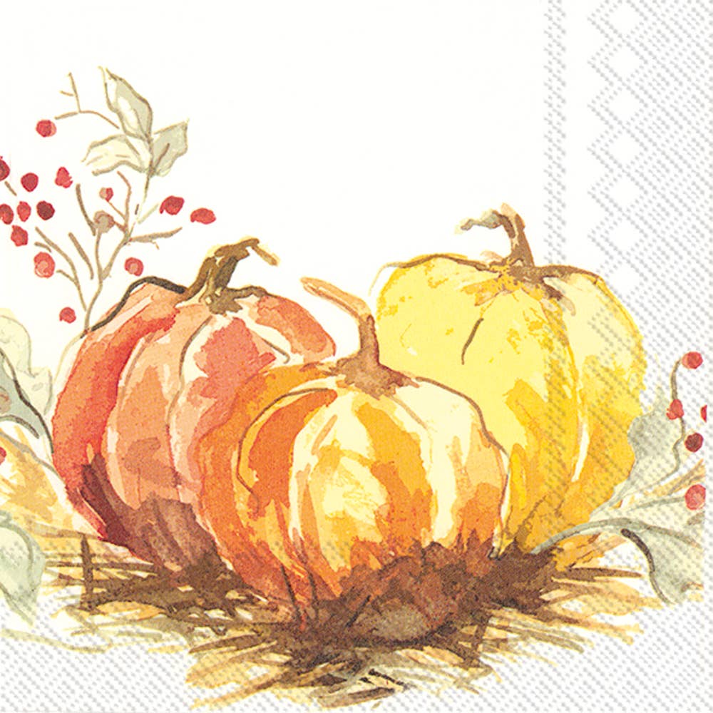 Paper Cocktail Napkin 20 Ct Painted Pumpkin Fall Autumn