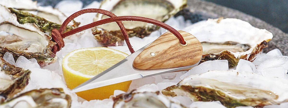 Outset Oyster Shucking Set, Oyster Knife and Guard, 8" x 6"