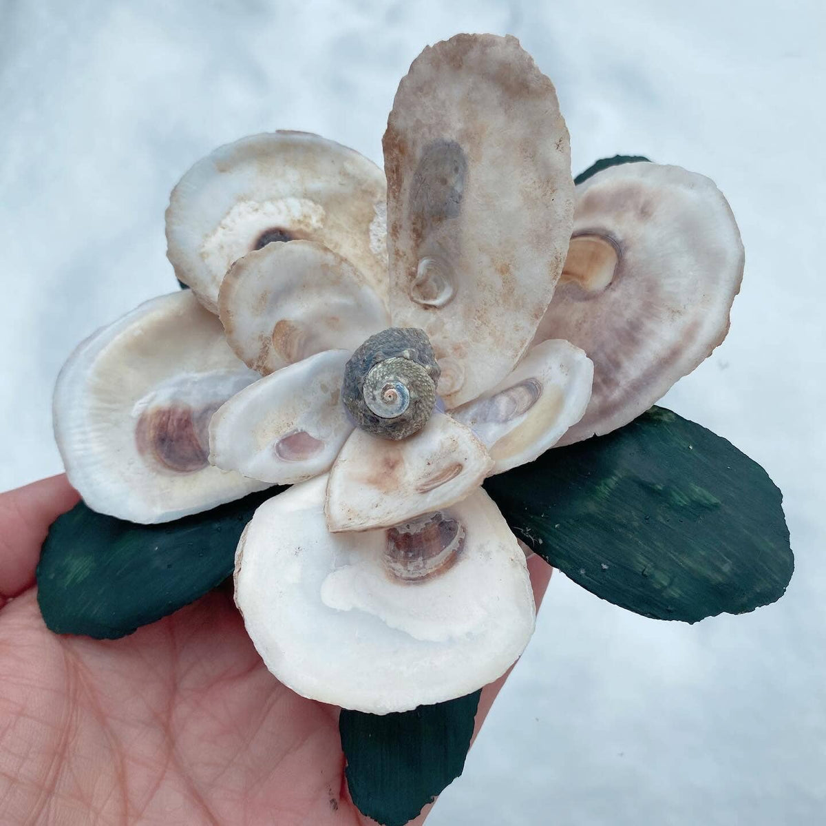 Magnolia Oyster Flower