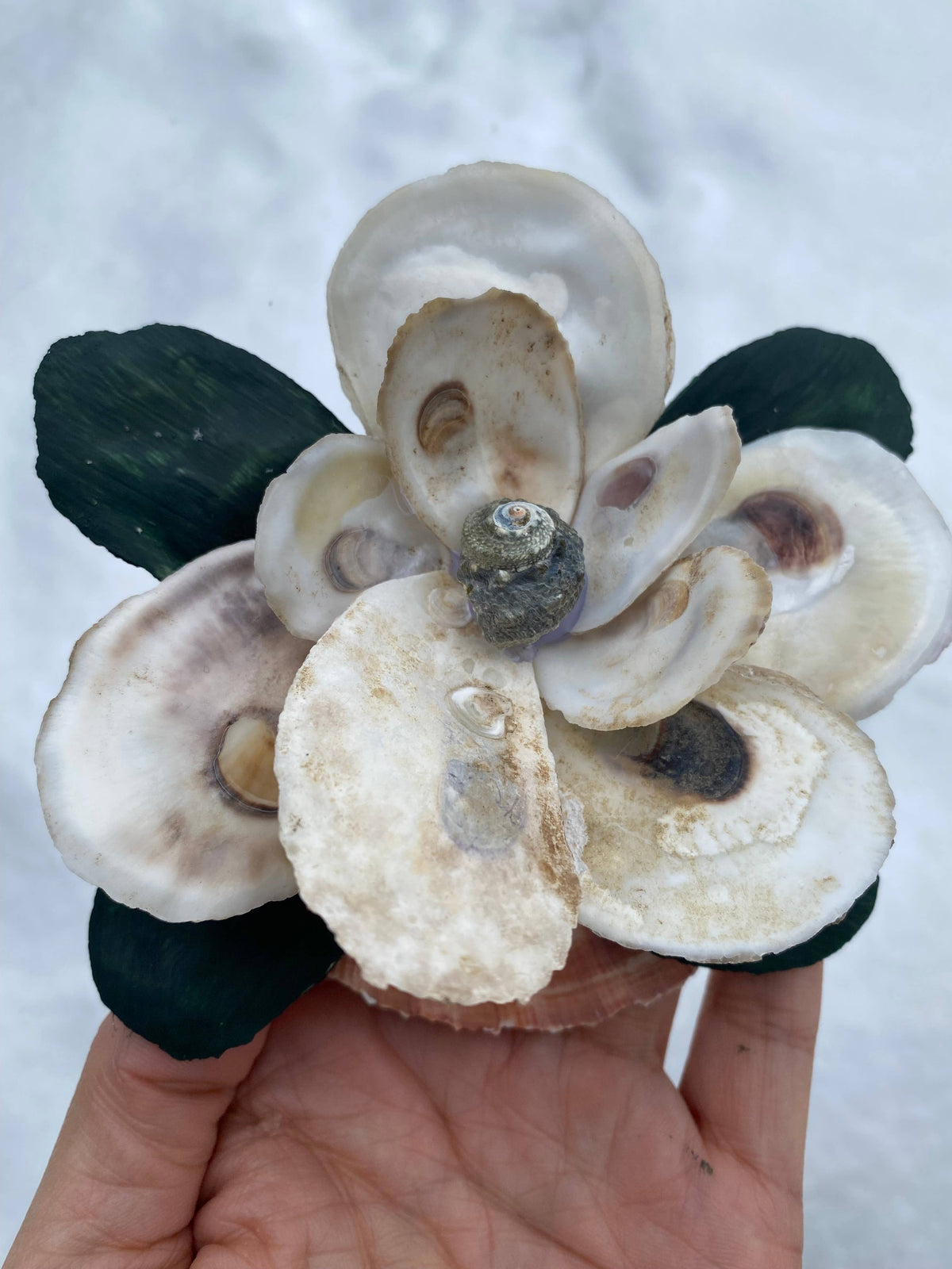 Magnolia Oyster Flower
