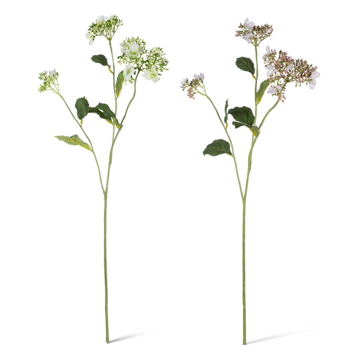 30.7" Wild Hydrangea Stem with Seeds & Leaves, 2 Asst