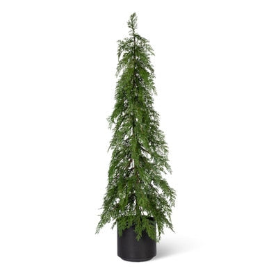 Potted Soft Touch Cedar Tree, 48" H