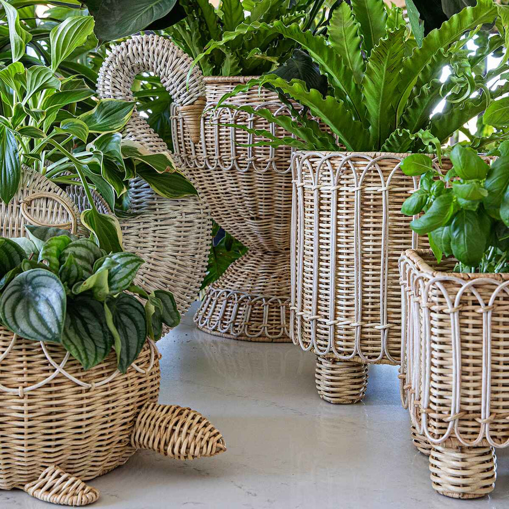 Juliska | Provence Rattan
