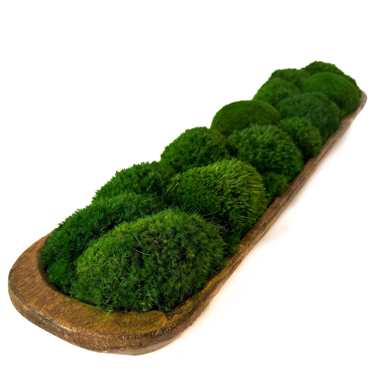 Preserved Mood Moss Large Wood Carved Bowl