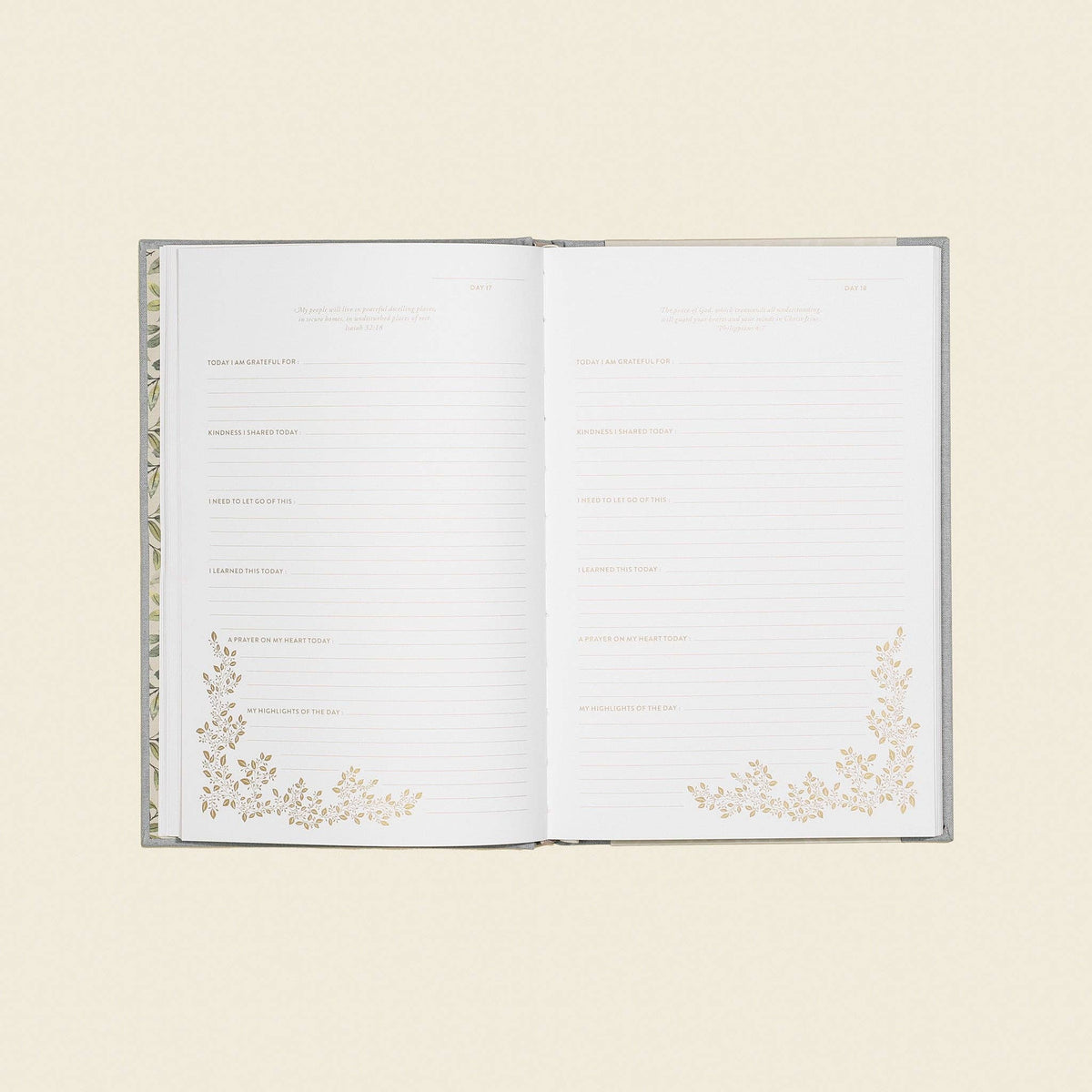 More Than Gratitude: A Christian Guided Journal