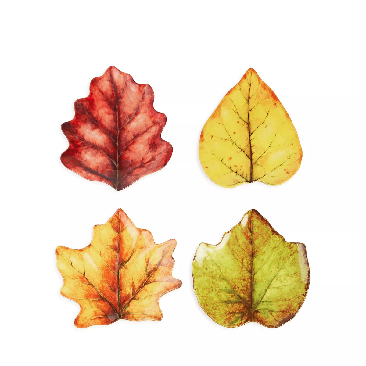 Forest Walk Leaf Plate Assorted Set/4