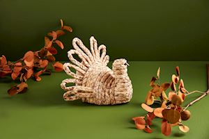 Hyacinth Turkey Sitter