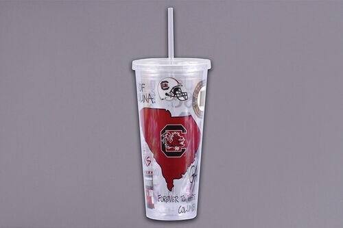 University of South Carolina 22 oz. Tumbler with Straw