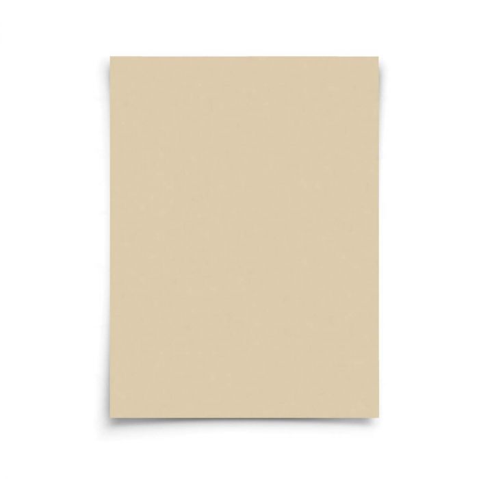 Non-Stick Pre-Cut Parchment Paper Sheets, 24 Sheets