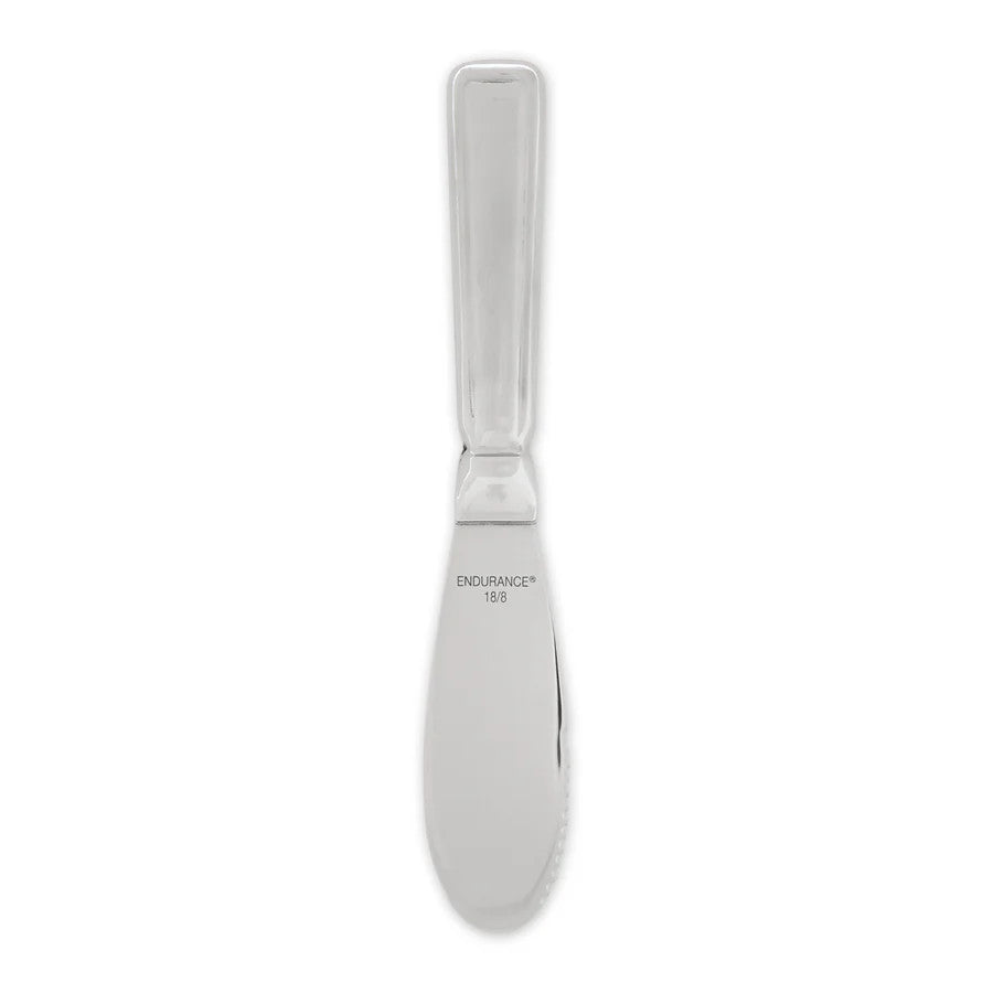 Stainless Steel Condiment Spreader