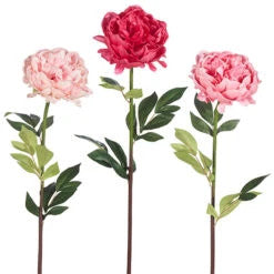 25" Real Touch Peony Stem (Asst'd Pink)