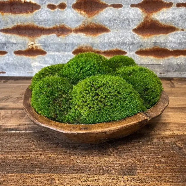 Moss Round Wood Bowl
