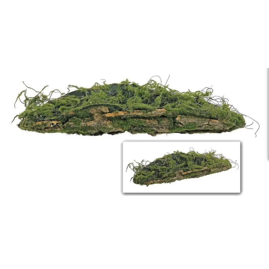 Tree Fern Bark, Sm., 18", Dark Brown/Green