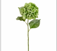 25" Green Hydran