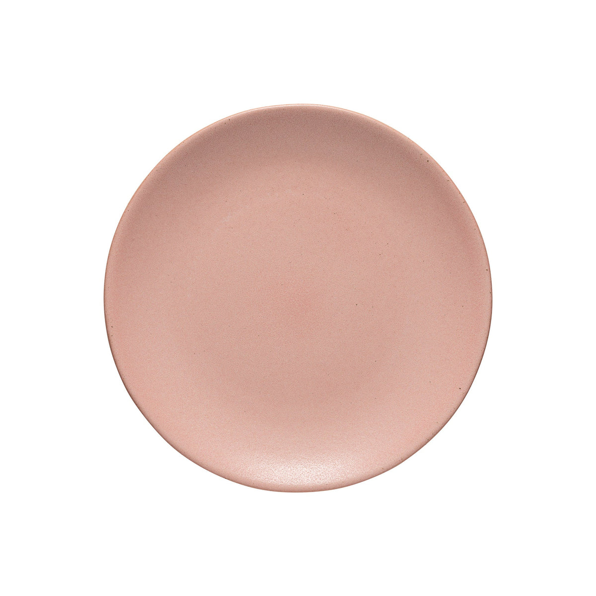 Set of 6 Dinner Plate Arenito