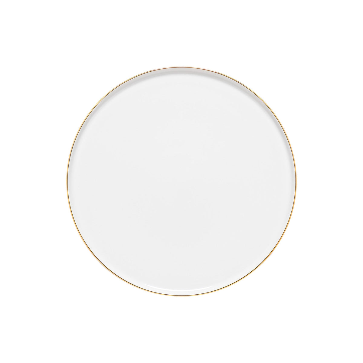 Porcelain Dinner Plate Resonance