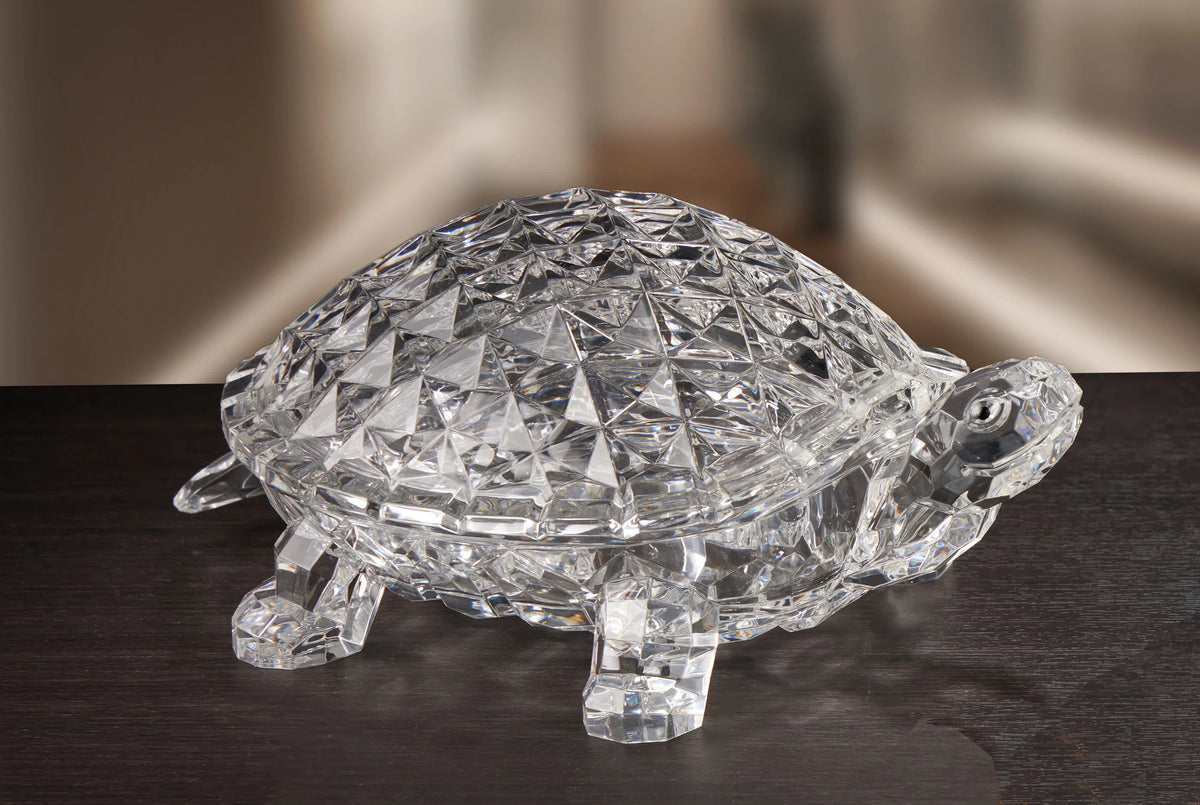 Large Acrylic Turtle Dish with Lid