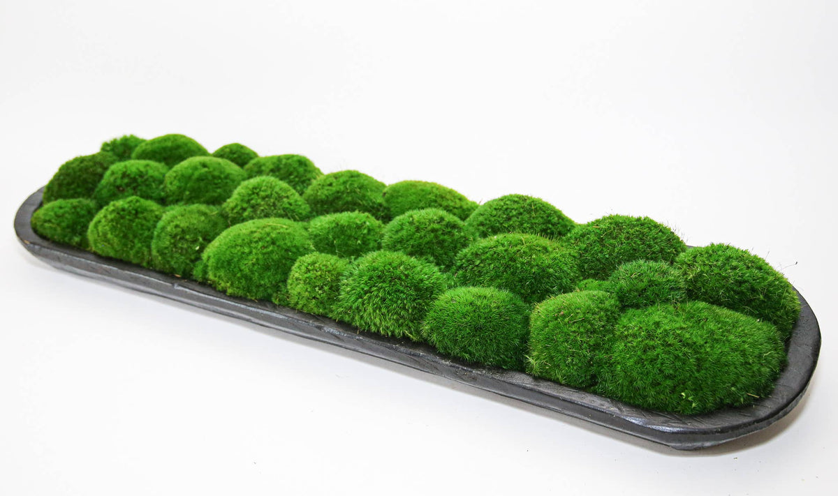 Preserved Mood Moss Large Wood Carved Bowl