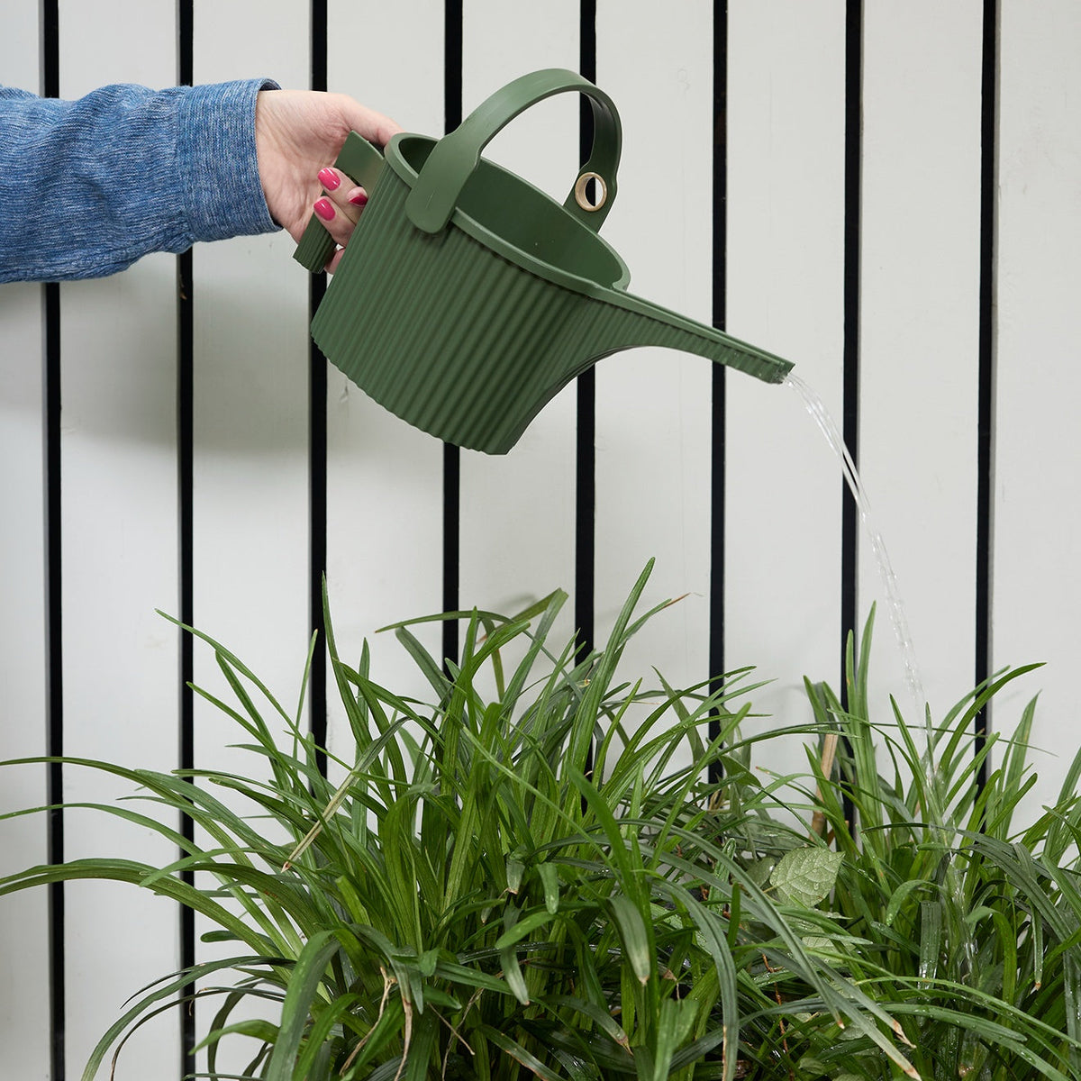 Hachiman Watering Cans - Garden Green