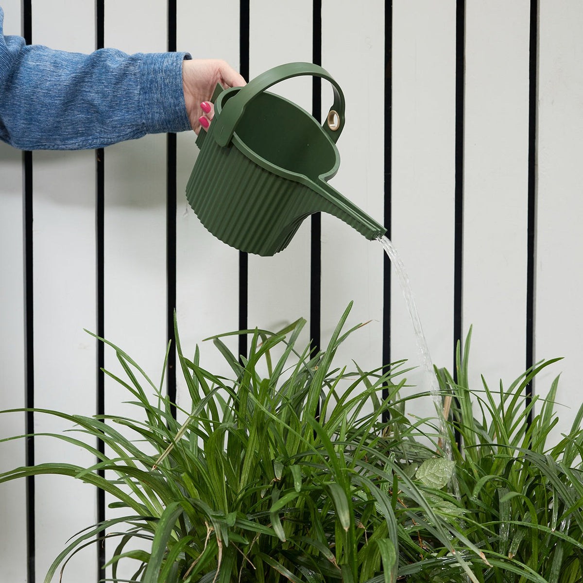 Hachiman Watering Cans - Garden Green